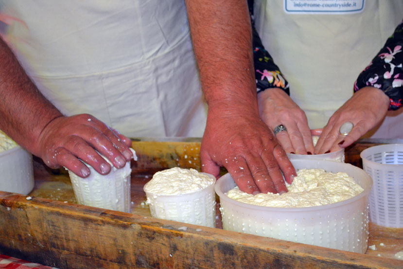 MAKING CHEESE