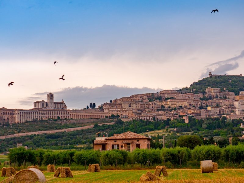 Italian Tour Operator