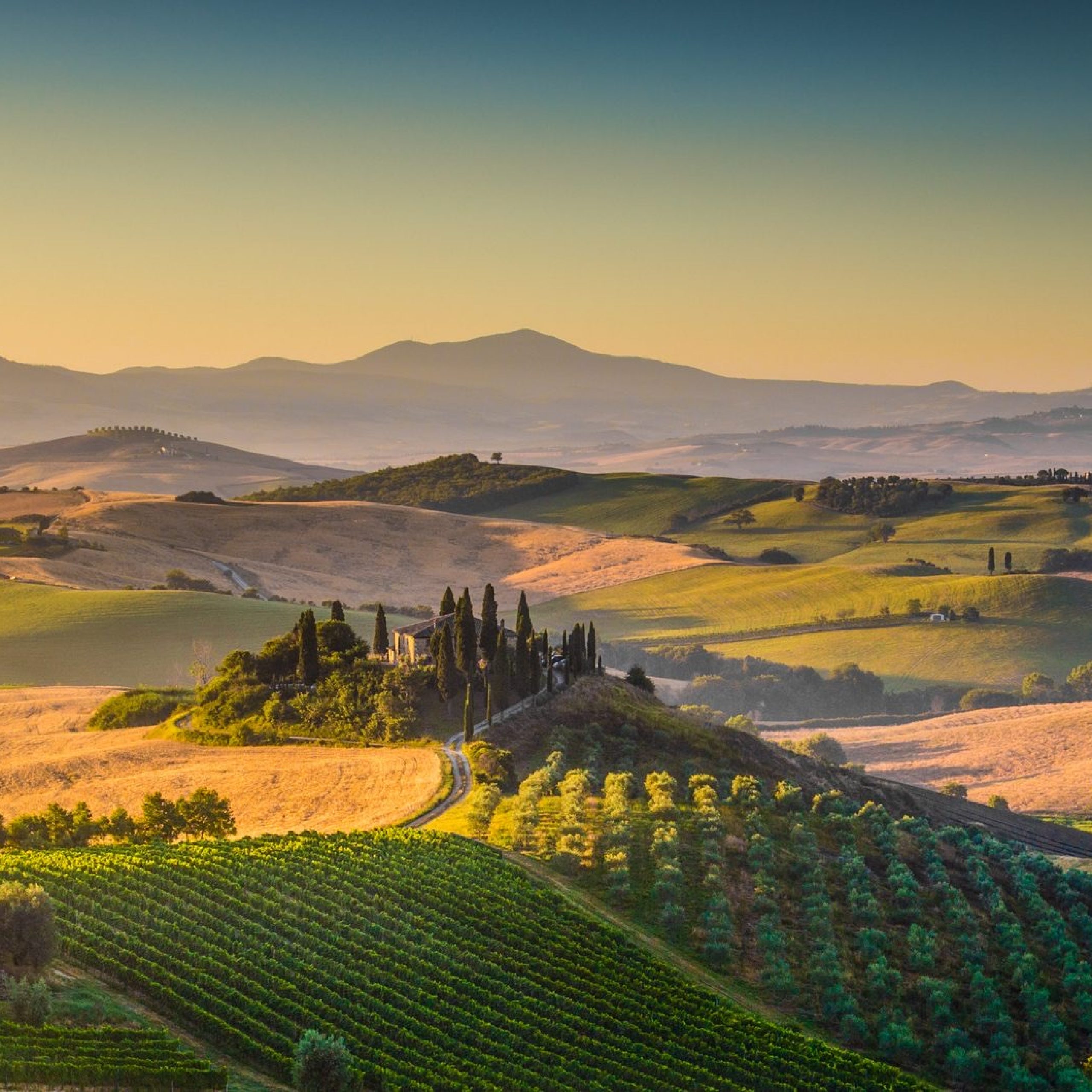 Italian Tour Operator