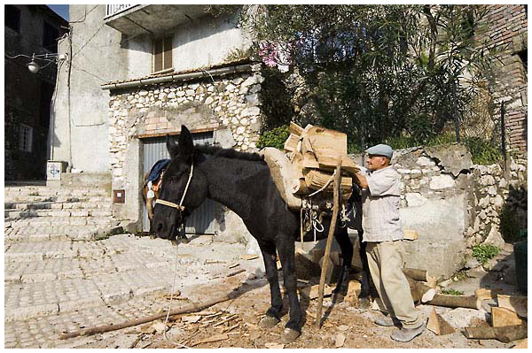 Artena artena-a-dorso-di-mulo