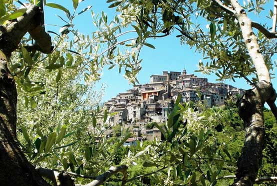 oilive oil of rome countryside