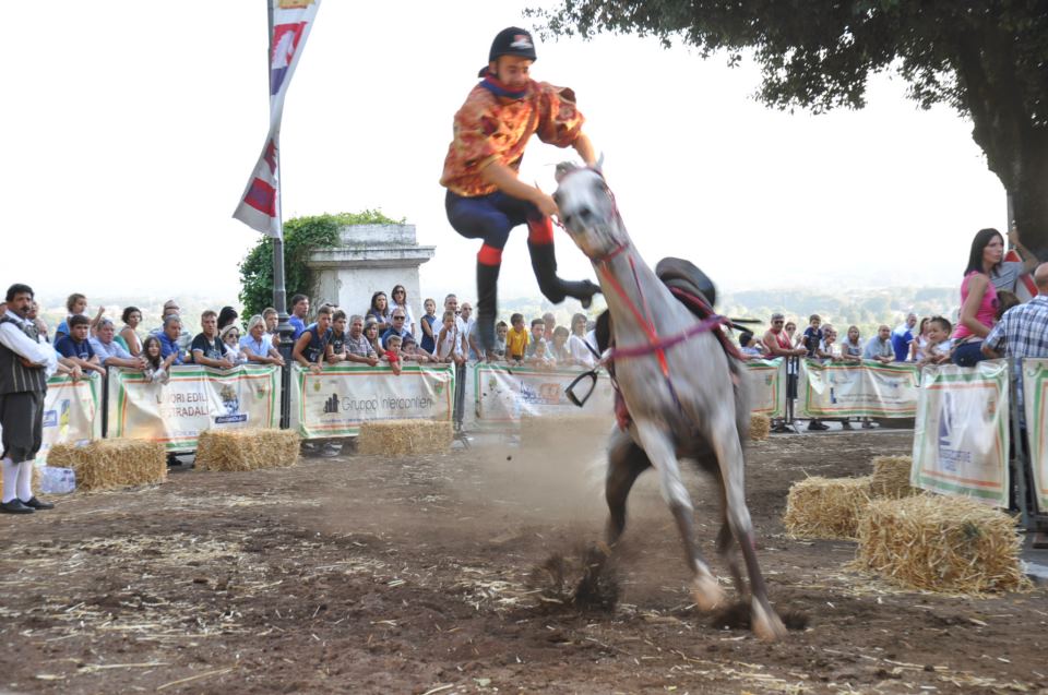 palio palestrina