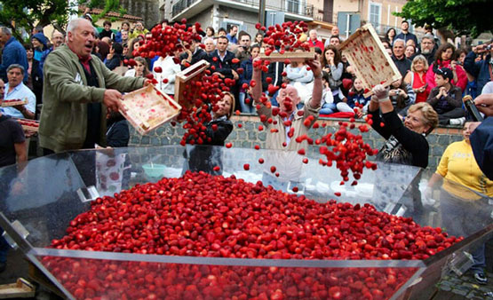 sagra-fragole-nemi