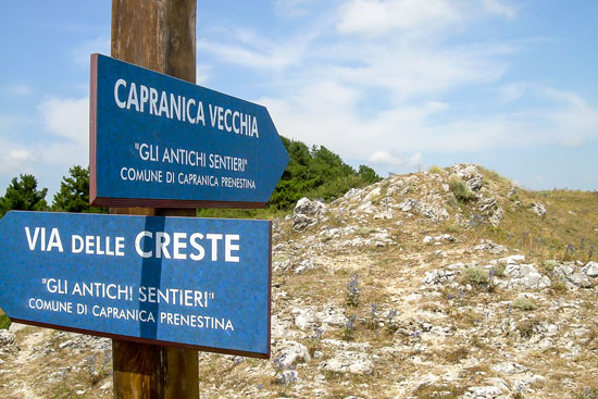 sentiero-delle-creste sentiero-delle-creste