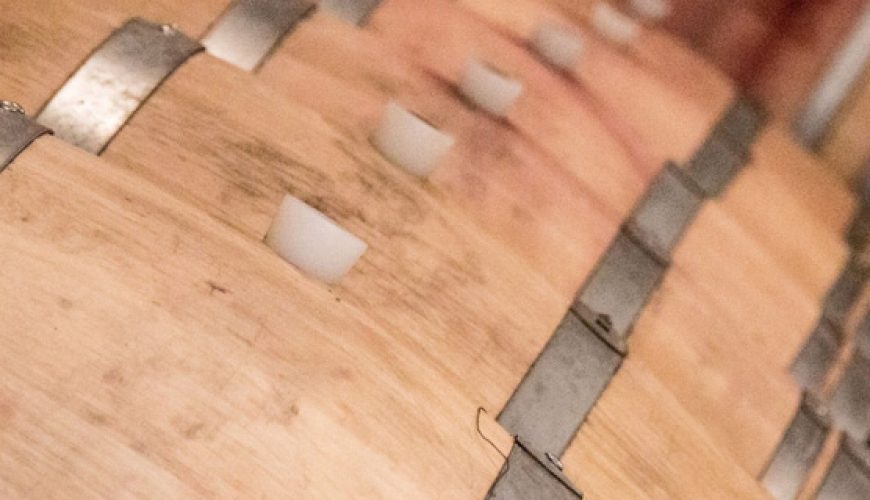 taste cesanese wine of piglio