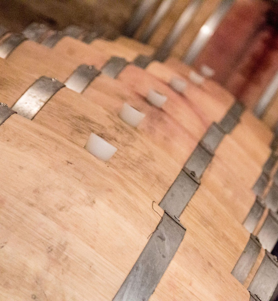 taste cesanese wine of piglio