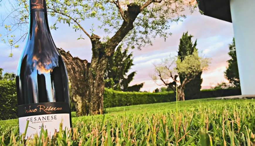 tour vineyards in the roman countryside