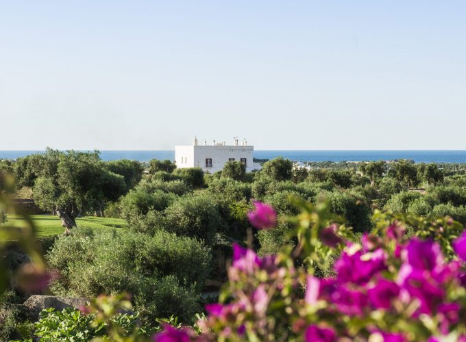 Italian Tour Operator
