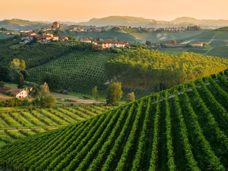 Italian Tour Operator