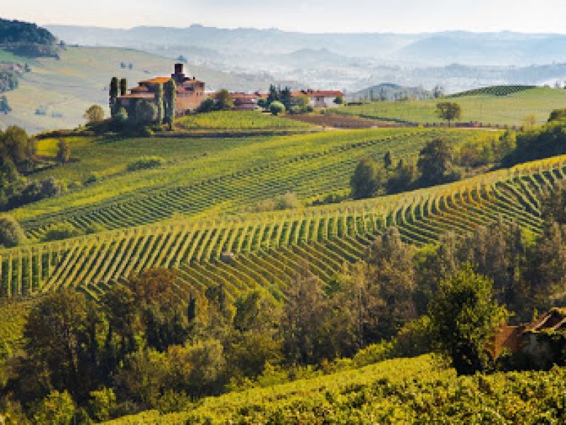 Italian Tour Operator