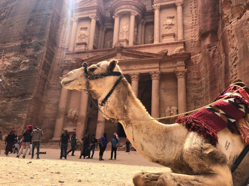 Italian Tour Operator