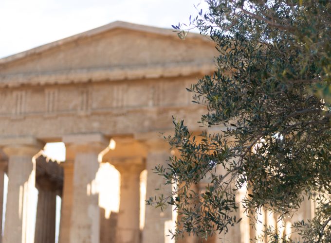 Italian Tour Operator