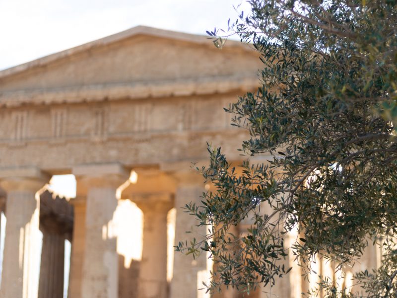 Italian Tour Operator