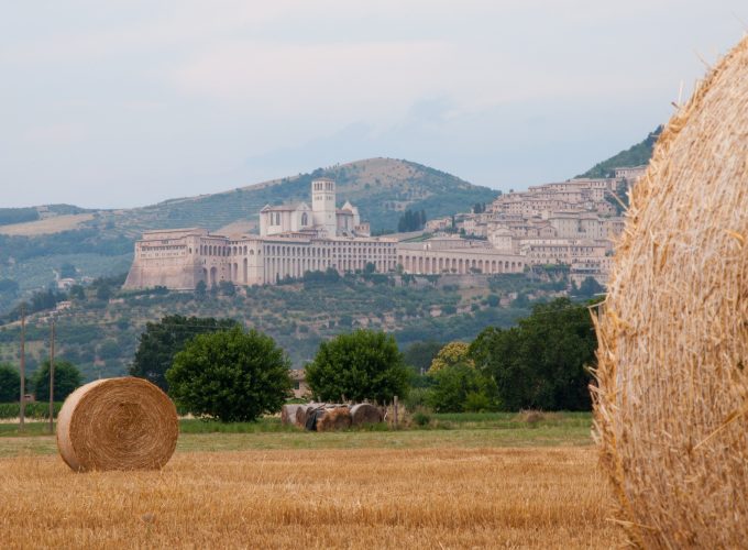 Italian Tour Operator