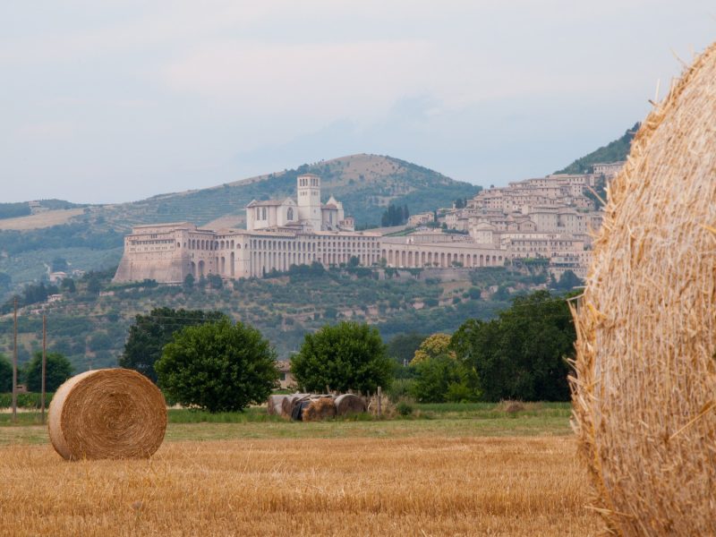 Italian Tour Operator